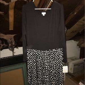LulaRoe Black and Polka Dot Georgia Dress